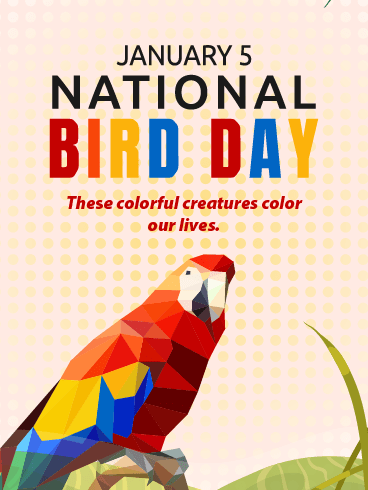 Colorful Creatures – National Bird Day