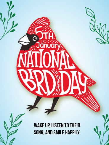 Vibrant & Playful – National Bird Day