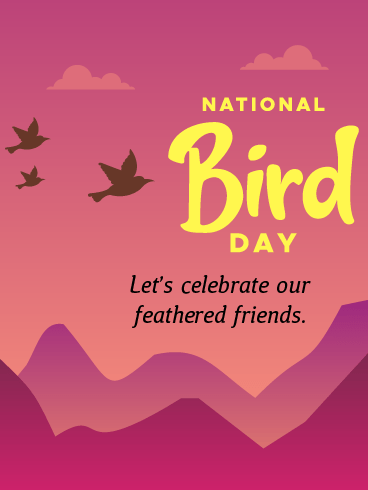 Feathered Friends – National Bird Day