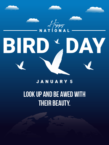 To The Sky – National Bird Day