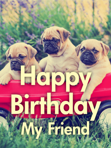 Three Best Pug Friends! Happy Birthday Card