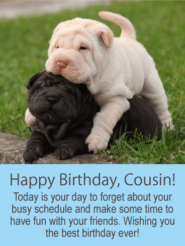 Have Fun Today! Happy Birthday Card for Cousin