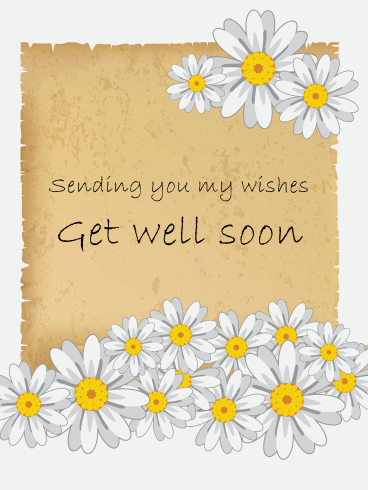 White Daisy Flower Get Well Card