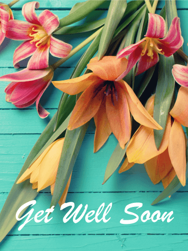 Colorful Flower Get Well Card